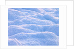 Snow by Assaf Frank
